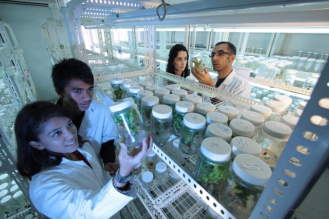 聚氨酯陽聚劑對水性聚氨酯涂料流平性、流掛性和施工性的影響研究